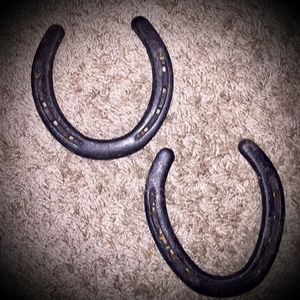 Horseshoes🤠